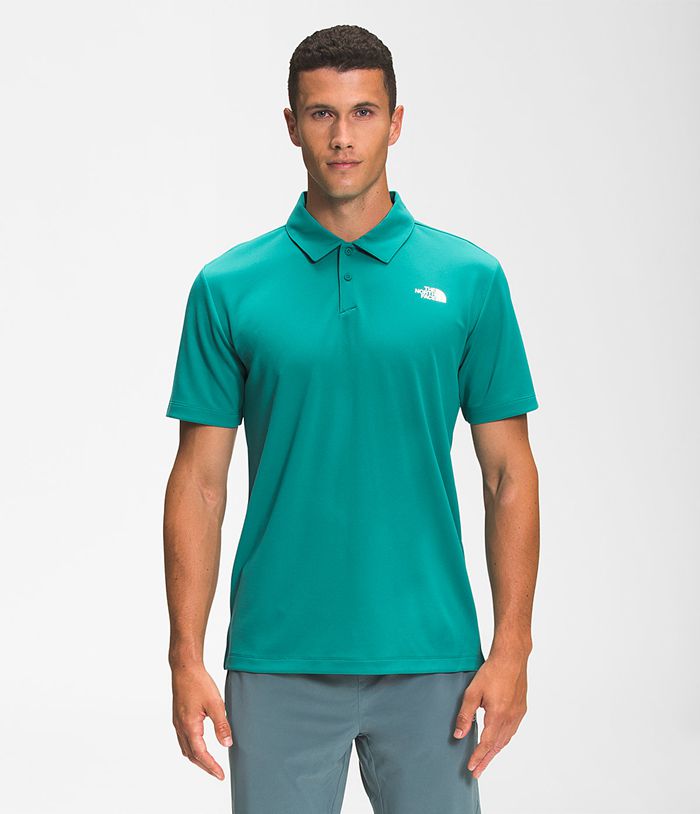 The North Face T Shirts Męska Zielone Wander Polo - QEGL49580